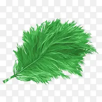 Ψ������ë ��ɫ��ë-������