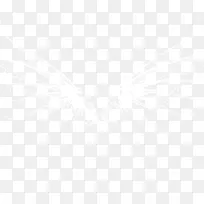 翅膀-空若网 翅膀-空若网