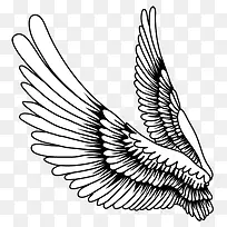 ��ë����ز� ��ͨ�ֻ���-������