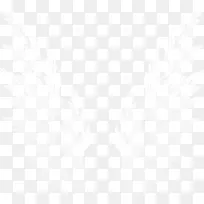 翅膀-空若网 翅膀-空若网