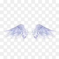 ���-������