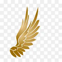 翅膀-空若网 翅膀-空若网