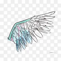 翅膀-空若网 翅膀-空若网
