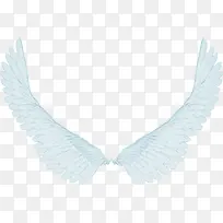 手绘翅膀-空若网 手绘翅膀-空若网