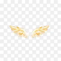 翅膀-空若网 翅膀-空若网