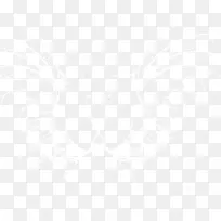 翅膀-空若网 翅膀-空若网