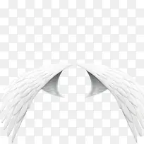 翅膀-空若网 翅膀-空若网