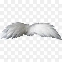 羽毛翅膀-空若网 羽毛翅膀-空若网