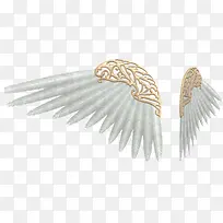 翅膀-空若网 翅膀-空若网