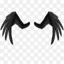 ��ɫ���-������