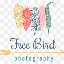 彩色手绘树叶羽毛-空若网 彩色手绘树叶羽毛-空若网