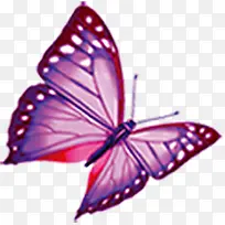 ��ɫ��������һ��ͯ��-������