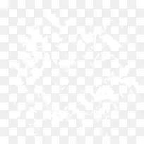 ²£Á§Ë鯬-¿ÕÈôÍø ²£Á§Ë鯬-¿ÕÈôÍø