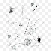 ²£Á§-¿ÕÈôÍø ²£Á§-¿ÕÈôÍø