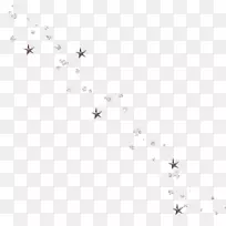 昆虫鸟无脊椎动物白银闪光-空若网 昆虫鸟无脊椎动物白银闪光-空若网