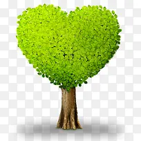 ������ľ-������