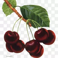 樱桃果酱樱桃果实-空若网 樱桃果酱樱桃果实-空若网