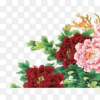 �ɰ���������Ψ��-������