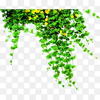 ��ɫ���»�����֦����-������