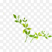 自然绿色树枝藤条卡通-空若网 自然绿色树枝藤条卡通-空若网