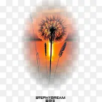 »¨»Üͼ°¸ËزÄ×°ÊÎͼ±ê-¿ÕÈôÍø »¨»Üͼ°¸ËزÄ×°ÊÎͼ±ê-¿ÕÈôÍø