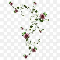 装饰素材线描花卉-空若网 装饰素材线描花卉-空若网