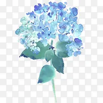 ˮ��ֲ��-������