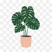 ˮ��ֲ��-������