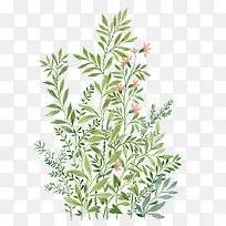 Ë®²ÊÖ²Îï-¿ÕÈôÍø Ë®²ÊÖ²Îï-¿ÕÈôÍø