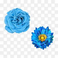 卡通手绘蓝色卡通花朵-空若网 卡通手绘蓝色卡通花朵-空若网