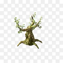 树 树木 木 植物-空若网 树 树木 木 植物-空若网