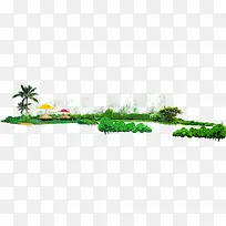 树 树木 木 植物-空若网 树 树木 木 植物-空若网
