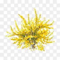 �� ��ľ-������