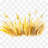 树 树木-空若网 树 树木-空若网