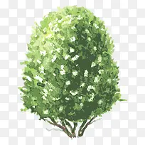 �� ��ľ-������