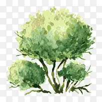 �� ��ľ-������