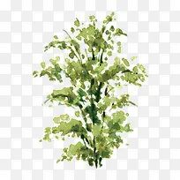 �� ��ľ-������