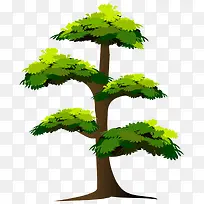 �� ��ľ ľ-������