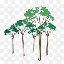 树 树木-空若网 树 树木-空若网