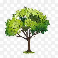 树 树木 木-空若网 树 树木 木-空若网