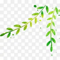 ��ɫ���䴴����֦-������