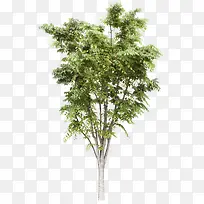 ����-������