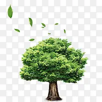 ����-������