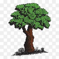 卡通树素材-空若网 卡通树素材-空若网