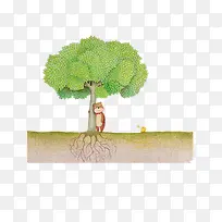 �廭-������