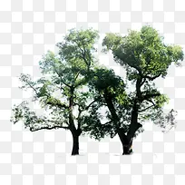 ����-������