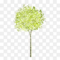 绿色大树-空若网 绿色大树-空若网