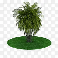 רéµÊ÷-¿ÕÈôÍø רéµÊ÷-¿ÕÈôÍø