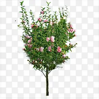 ����-������