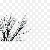 枯树枝-空若网 枯树枝-空若网